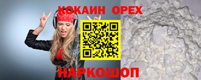 гидропоника Новозыбков
