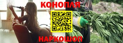 гидропоника Новозыбков