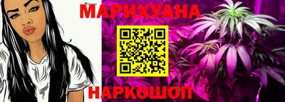 гидропоника Новозыбков