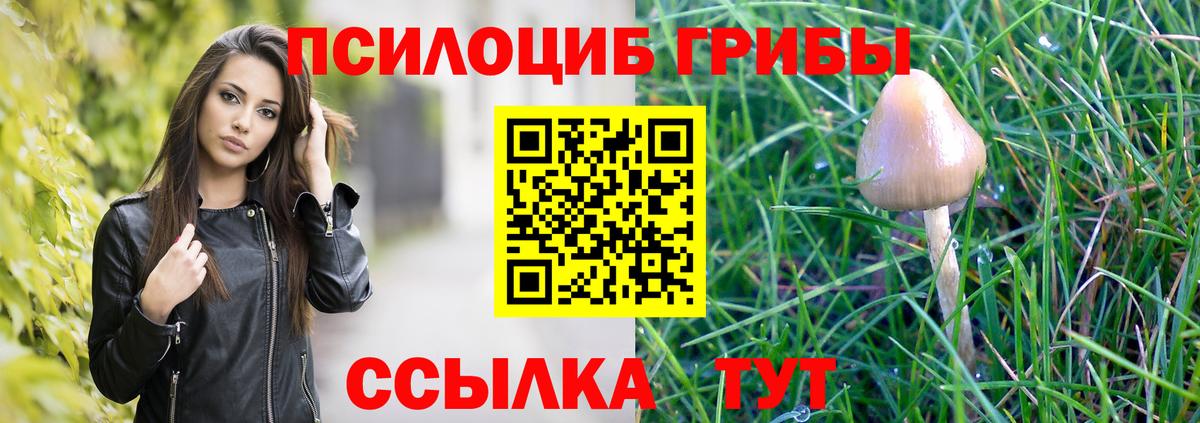 купить  сайты  Галлюциногенные грибы ЛСД  Вход с VPN  Свободный 