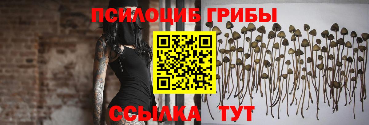 Псилоцибиновые грибы Magic Shrooms Свободный